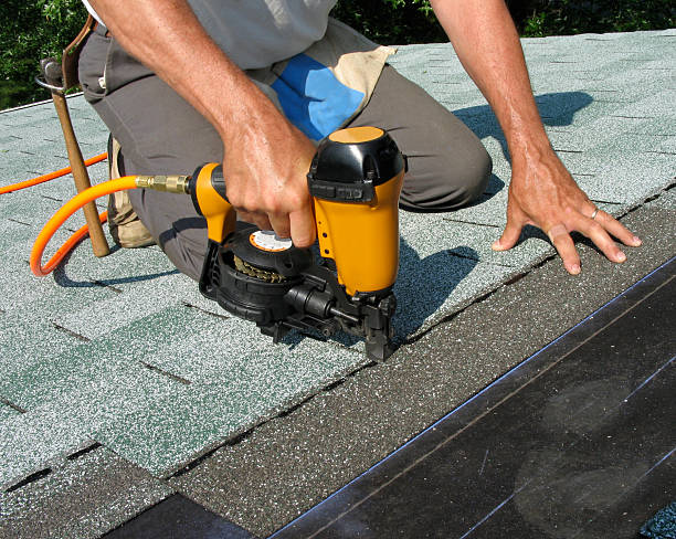 Best New Roof Installation  in Williams, AZ