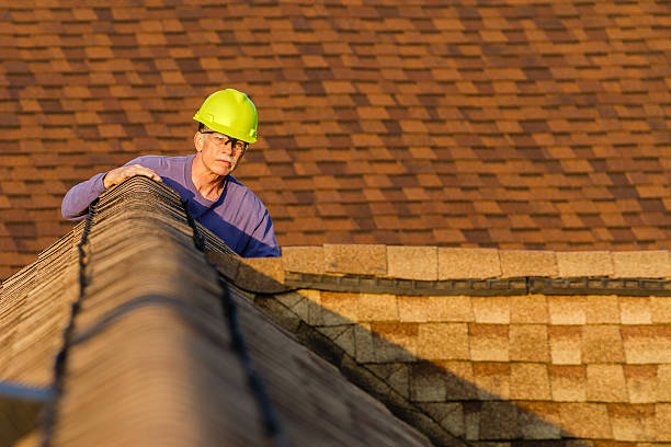 Best Storm Damage Roof Repair  in Williams, AZ